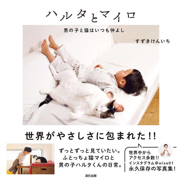動物,犬,猫,しつけ,飼い方,育て方,病気,健康