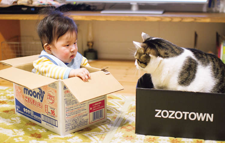 動物,犬,猫,しつけ,飼い方,育て方,病気,健康