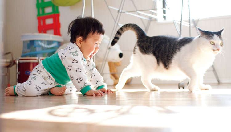 動物,犬,猫,しつけ,飼い方,育て方,病気,健康