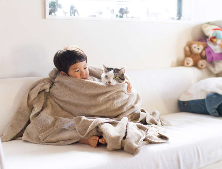 動物,犬,猫,しつけ,飼い方,育て方,病気,健康