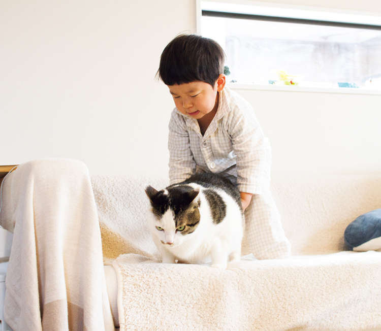 動物,犬,猫,しつけ,飼い方,育て方,病気,健康