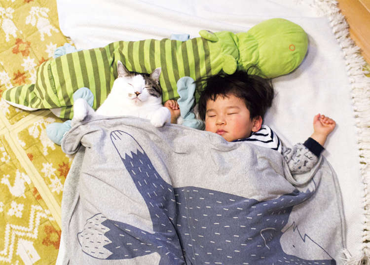 ふとっちょ猫×子供に癒される♡ ほっこりとした日常に心が温まる写真集♪