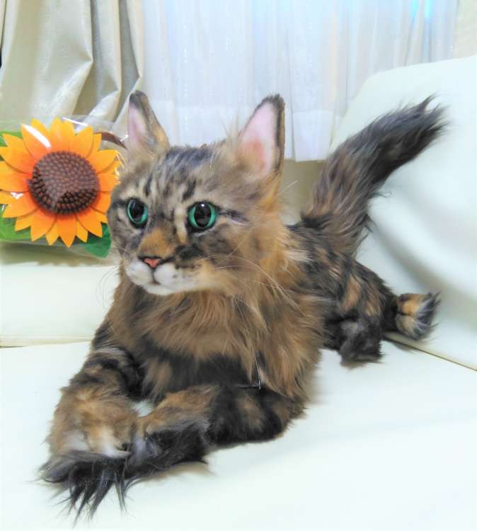 猫 ネコ 長毛猫 ひまわり オーダーメイドぬいぐるみ