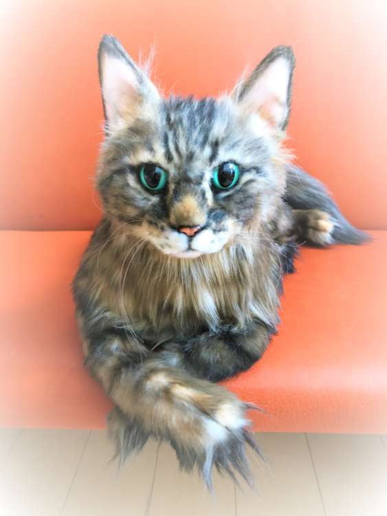 猫 ネコ 長毛猫 ひまわり オーダーメイドぬいぐるみ