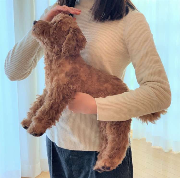 犬のぬいぐるみ