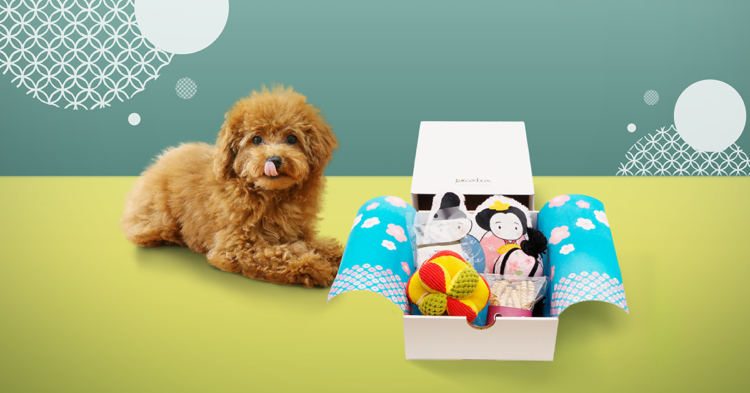 【締切間近!!】愛犬への贈りものに… PECOBOX3月号『ひなまつりBOX』の中身を詳しく紹介!!