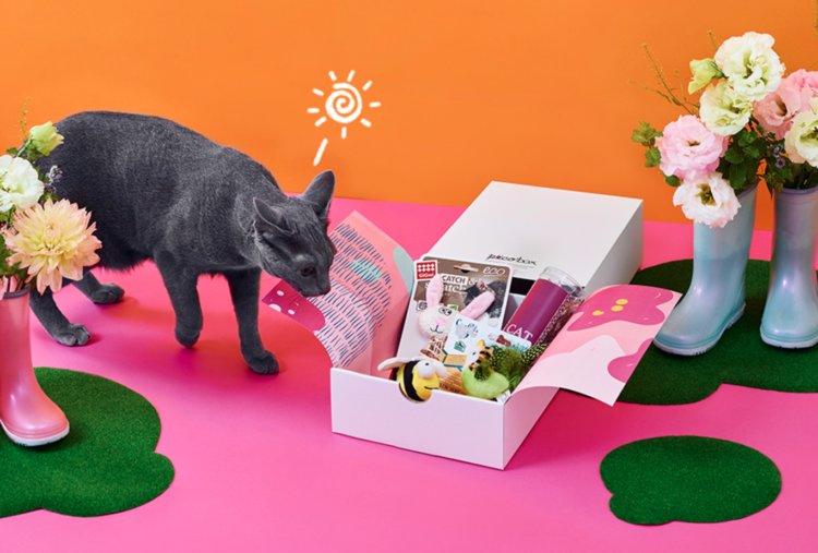 PECOBOX for Cats「春のお出かけ号」受付中♪ 愛猫のためのプレゼントについて解説!