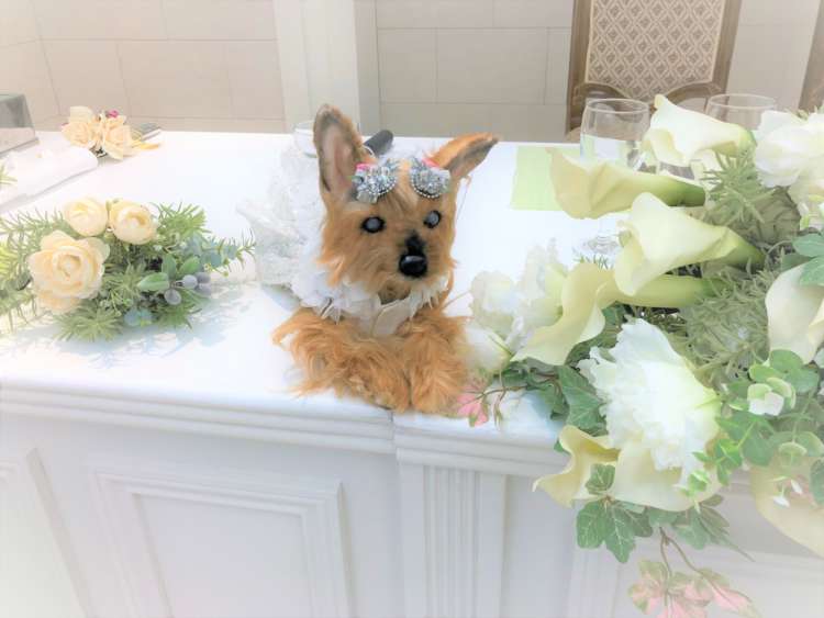 犬 ヨークシャーテリア ヨーキー 愛犬 ぬいぐるみ