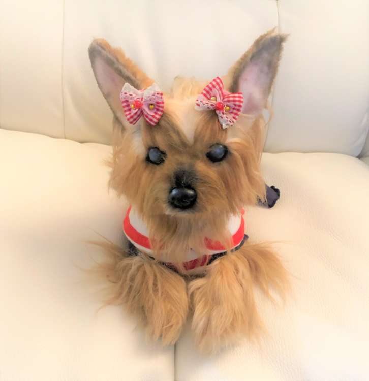 犬 ヨークシャーテリア ヨーキー 愛犬 ぬいぐるみ