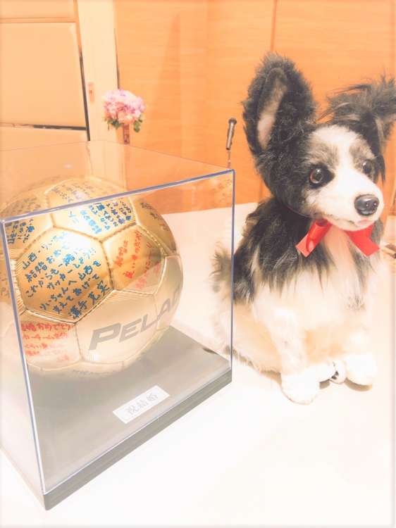 犬 結婚式 パピヨン ぬいぐるみ オーダーメイド いぬ