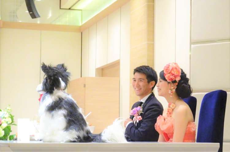 犬 結婚式 パピヨン ぬいぐるみ オーダーメイド いぬ
