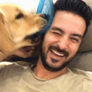動物,犬,猫,しつけ,飼い方,育て方,病気,健康