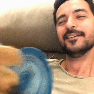 動物,犬,猫,しつけ,飼い方,育て方,病気,健康