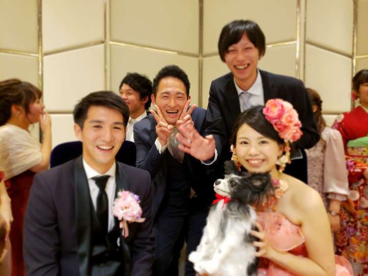 犬 結婚式 パピヨン ぬいぐるみ オーダーメイド いぬ