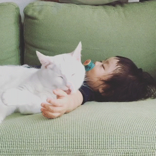 動物,犬,猫,しつけ,飼い方,育て方,病気,健康