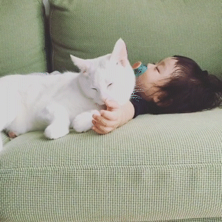 動物,犬,猫,しつけ,飼い方,育て方,病気,健康