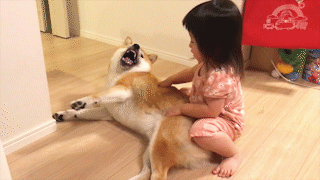 動物,犬,猫,しつけ,飼い方,育て方,病気,健康