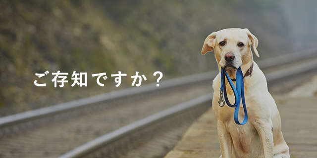 動物,犬,猫,しつけ,飼い方,育て方,病気,健康