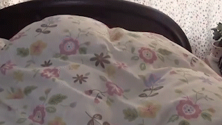動物,犬,猫,しつけ,飼い方,育て方,病気,健康