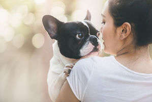 動物,犬,猫,しつけ,飼い方,育て方,病気,健康