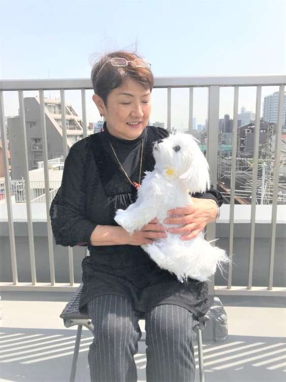 犬 マルチーズ ぬいぐるみ オーダーメイド