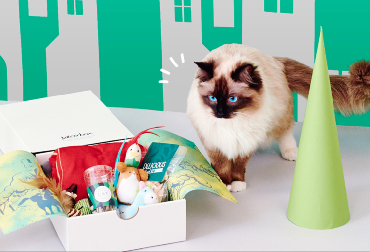 PECOBOX for Cats 6月号「ブレーメンの音楽隊」受付中♪愛猫のプレゼントについて解説!
