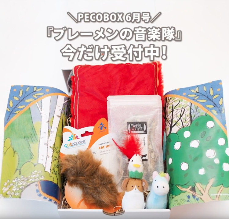 動物,犬,猫,しつけ,飼い方,育て方,病気,健康