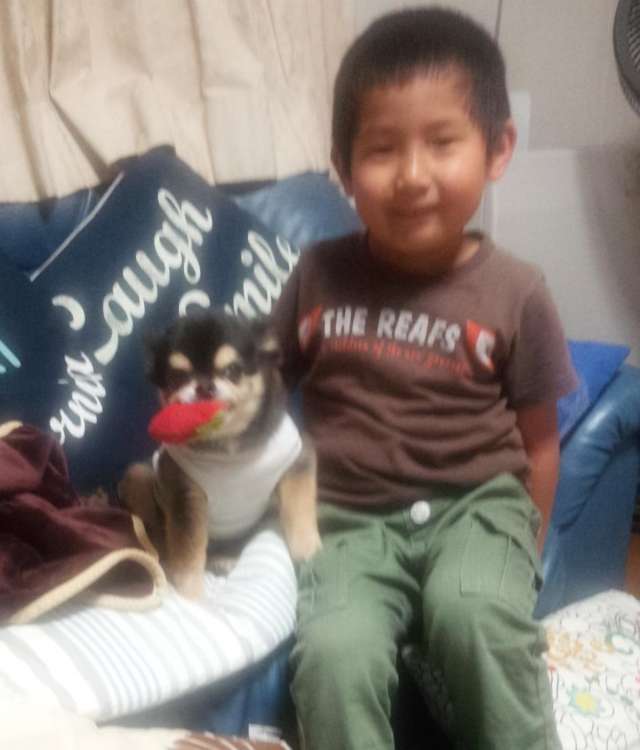 動物,犬,猫,しつけ,飼い方,育て方,病気,健康