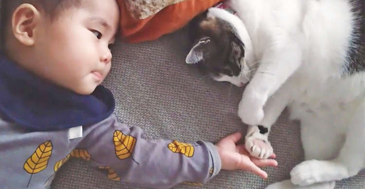 握手をしたい赤ちゃんと、なんだかんだで応じてくれる猫さん。ふたりのまったりなやり取りに和む♡