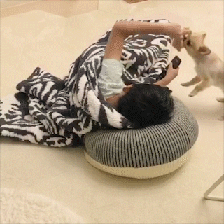 動物,犬,猫,しつけ,飼い方,育て方,病気,健康
