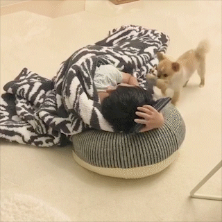 動物,犬,猫,しつけ,飼い方,育て方,病気,健康