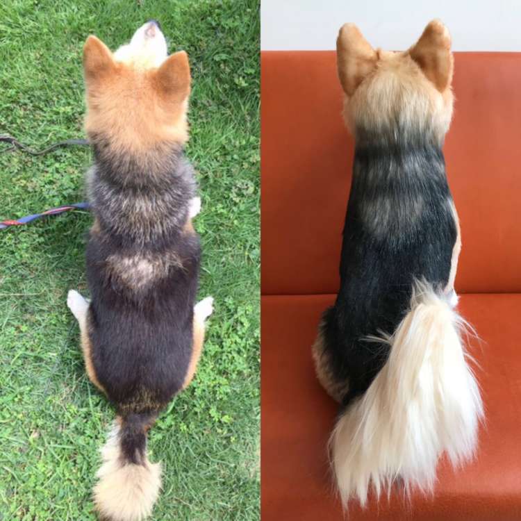 犬 ぬいぐるみ 保護犬 PECOHug ペコハグ 雑種犬 オーダーメイドぬいぐるみ