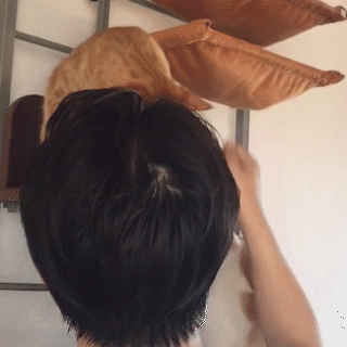 動物,犬,猫,しつけ,飼い方,育て方,病気,健康