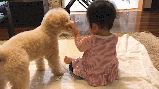 動物,犬,猫,しつけ,飼い方,育て方,病気,健康