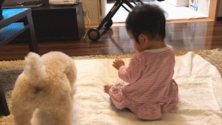 動物,犬,猫,しつけ,飼い方,育て方,病気,健康