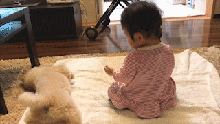 動物,犬,猫,しつけ,飼い方,育て方,病気,健康