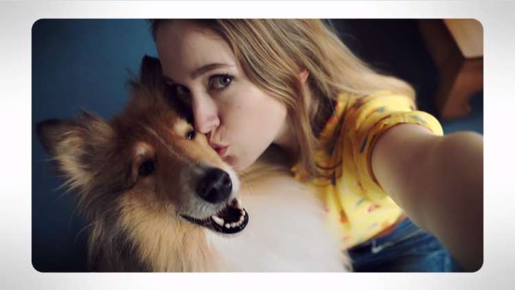 動物,犬,猫,しつけ,飼い方,育て方,病気,健康