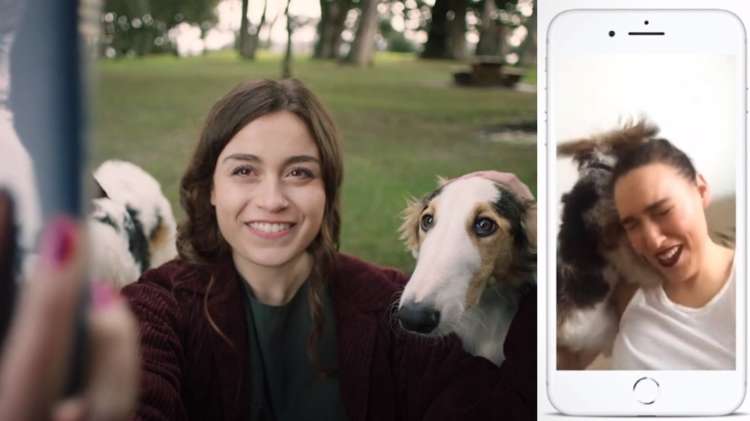 愛犬家のみなさん、朗報です!こっち向いてくれない時のナイスアイディア。
