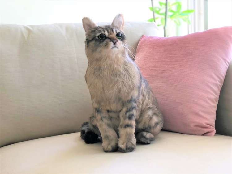猫 ぬいぐるみ オーダーメイド オーダーメイドぬいぐるみ PECOHug ペコハグ