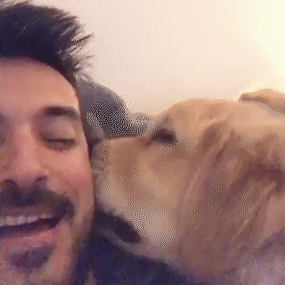 動物,犬,猫,しつけ,飼い方,育て方,病気,健康