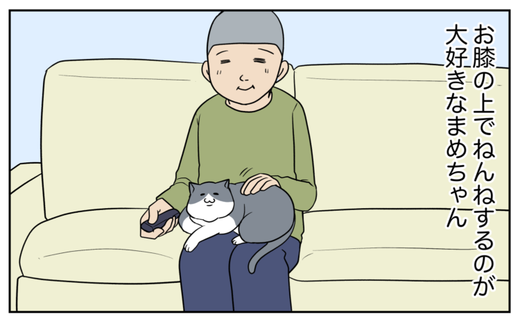 動物,犬,猫,しつけ,飼い方,育て方,病気,健康