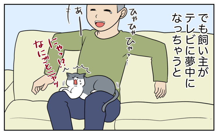 動物,犬,猫,しつけ,飼い方,育て方,病気,健康