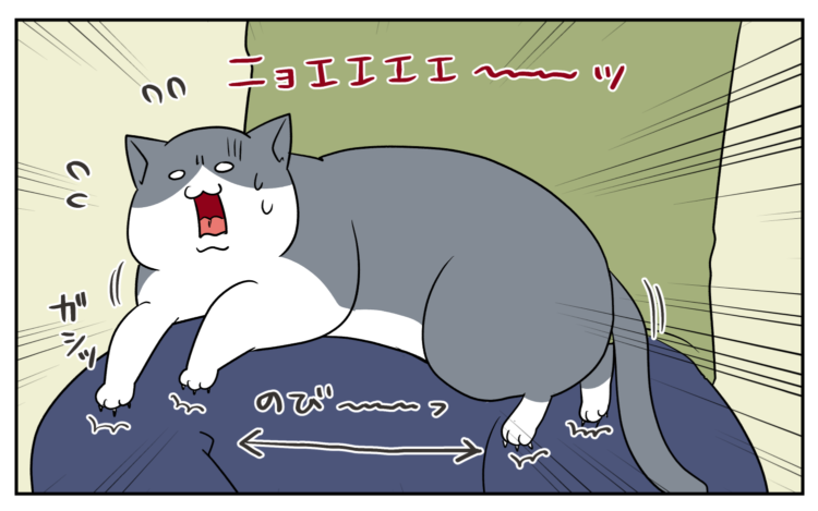 動物,犬,猫,しつけ,飼い方,育て方,病気,健康