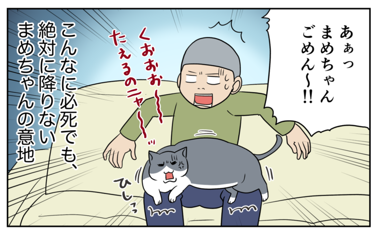 動物,犬,猫,しつけ,飼い方,育て方,病気,健康