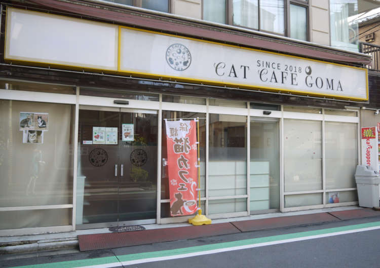保護猫カフェGOMA