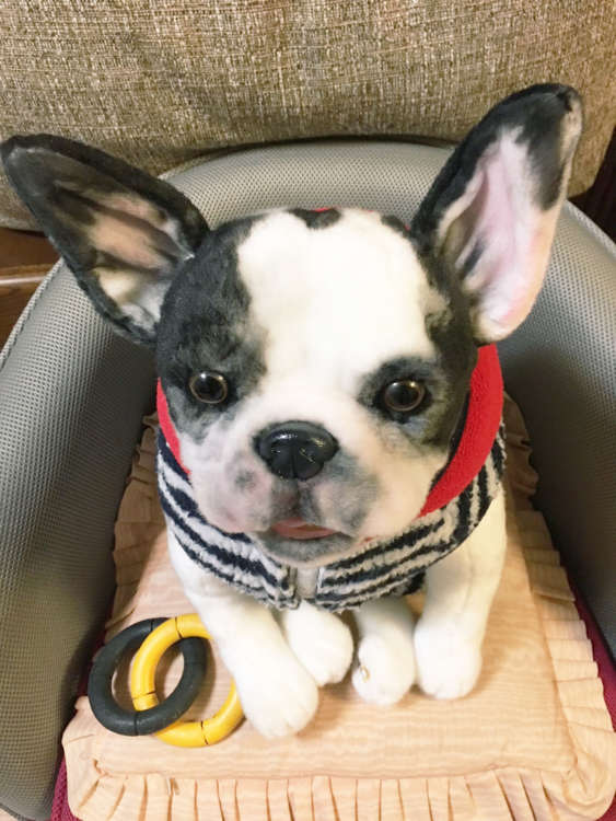 犬 フレンチブルドッグ ブルドッグ ぬいぐるみ オーダーメイド