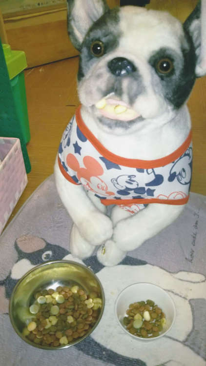 犬 フレンチブルドッグ ブルドッグ ぬいぐるみ オーダーメイド