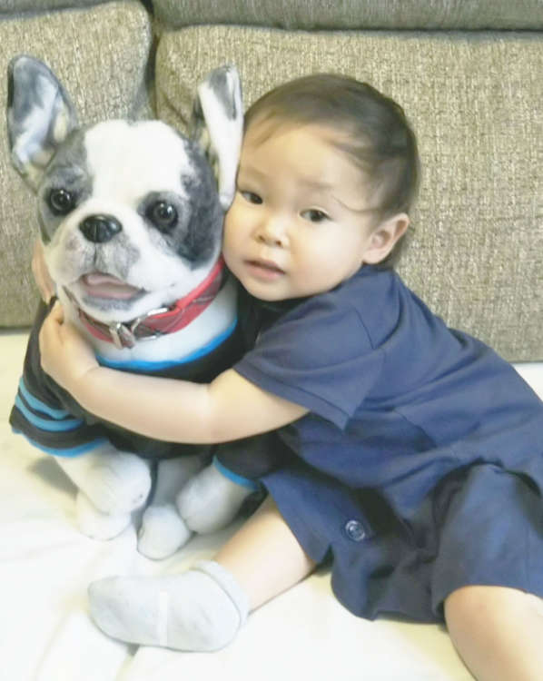 犬 フレンチブルドッグ ブルドッグ ぬいぐるみ オーダーメイド