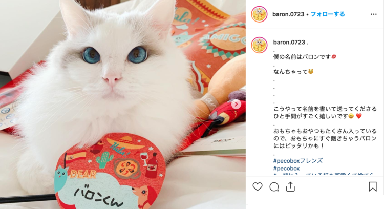 PECOBOX(ペコボックス)愛猫用の口コミ、評判
