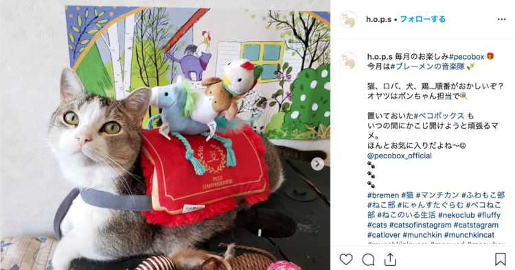 PECOBOX(ペコボックス)愛猫用の口コミ、評判